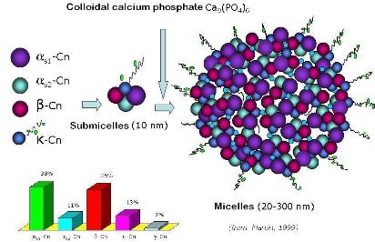 Micelles